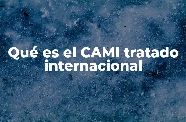 Qué es el Cami Tratado Internacional