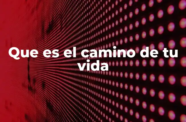Que es el Camino de Tu Vida 2 El viaje interior y la búsqueda del sentido