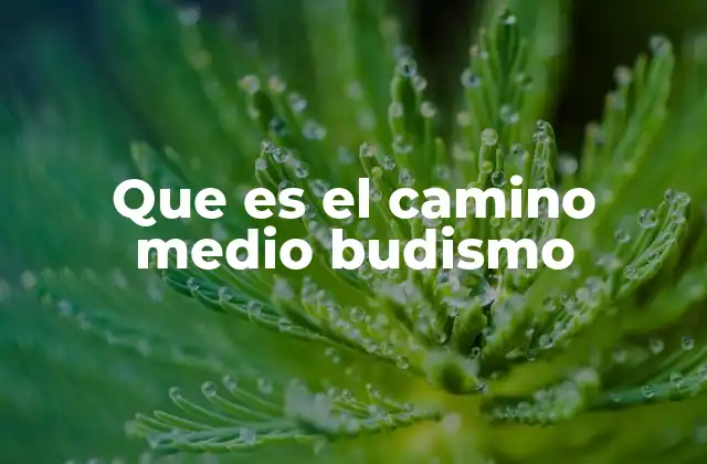 Que es el Camino Medio Budismo