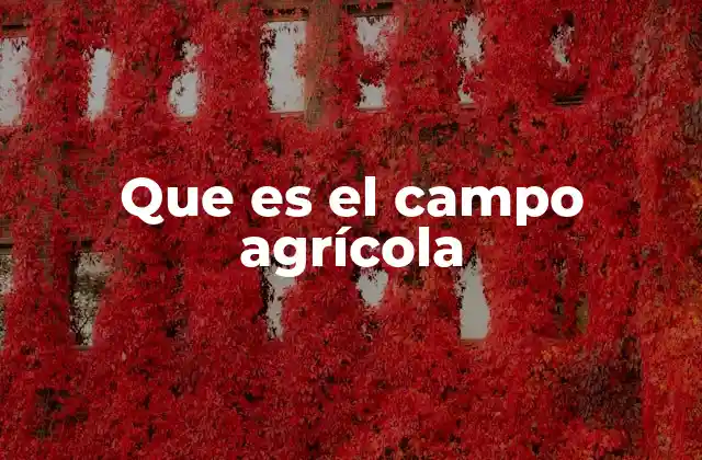 Que es el Campo Agrícola
