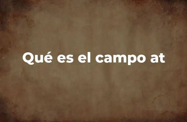 Qué es el Campo At