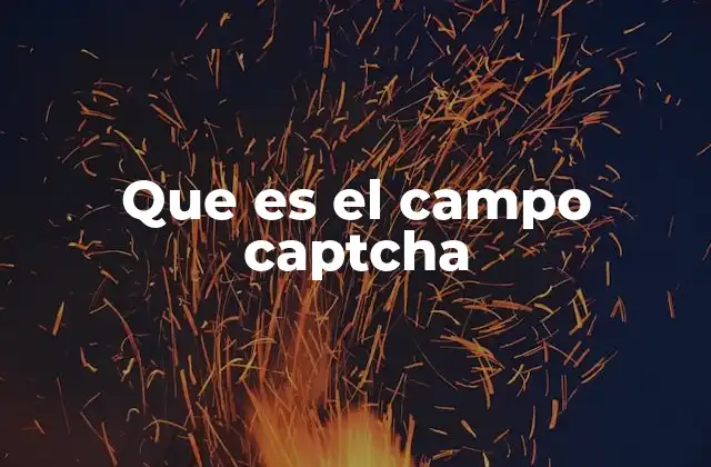 Que es el Campo Captcha