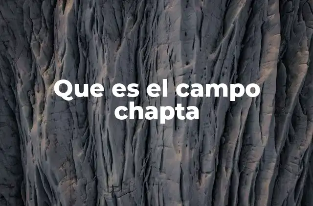 Que es el Campo Chapta 2 La importancia del campo Chapta en la historia local