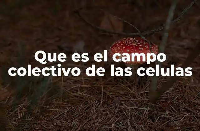 Que es el Campo Colectivo de las Celulas