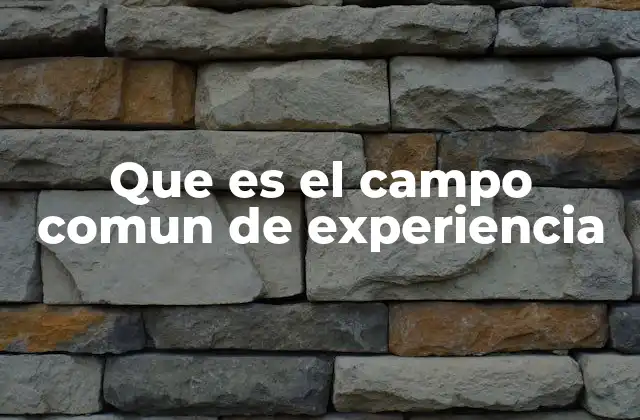 Que es el Campo Comun de Experiencia