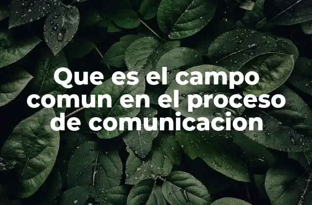 Que es el Campo Comun en el Proceso de Comunicacion