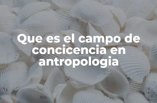 Que es el Campo de Concicencia en Antropologia