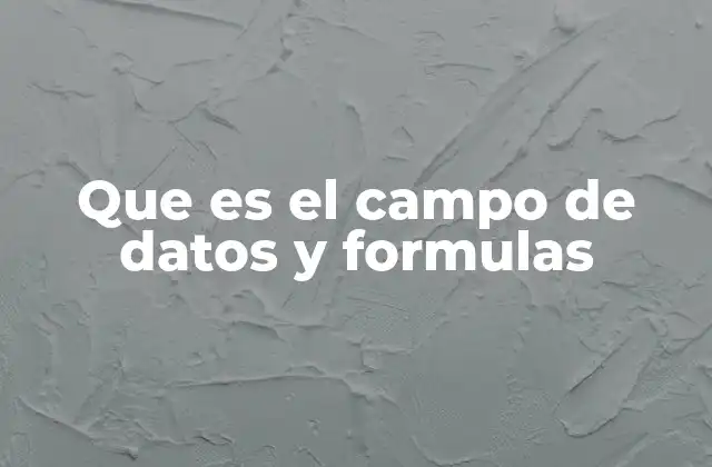 Que es el Campo de Datos y Formulas