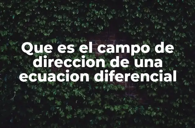 Que es el Campo de Direccion de una Ecuacion Diferencial