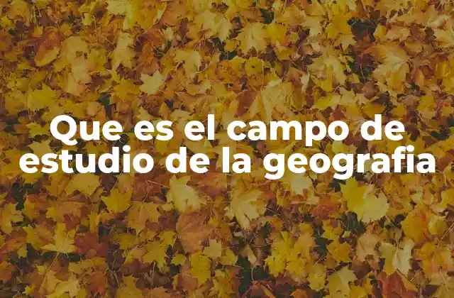 Que es el Campo de Estudio de la Geografia