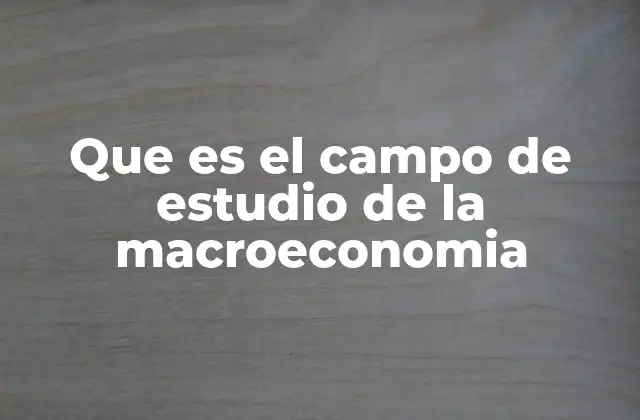 La importancia de comprender la economía a gran escala