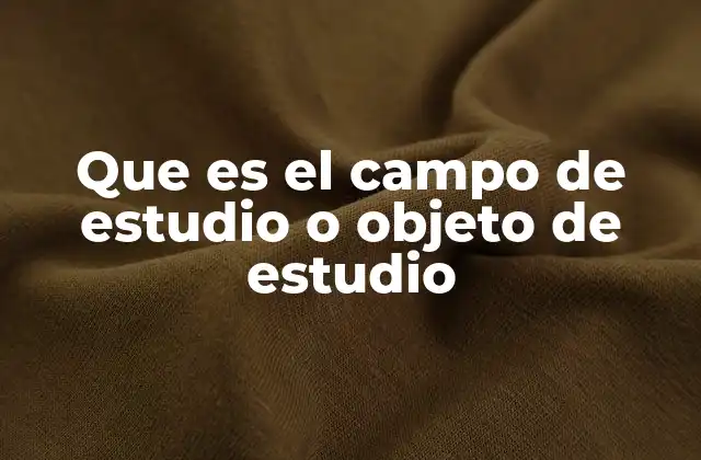 Que es el Campo de Estudio o Objeto de Estudio