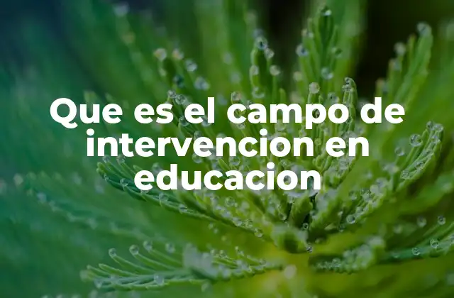 Que es el Campo de Intervencion en Educacion