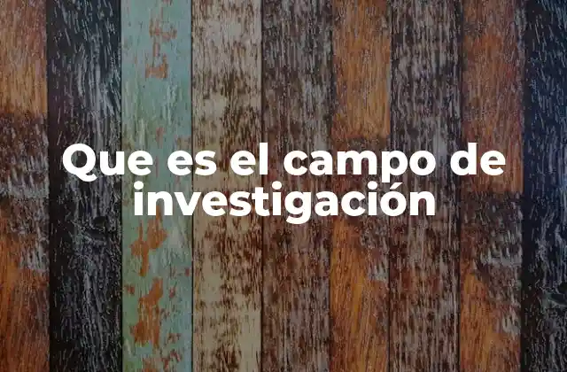 Que es el Campo de Investigación