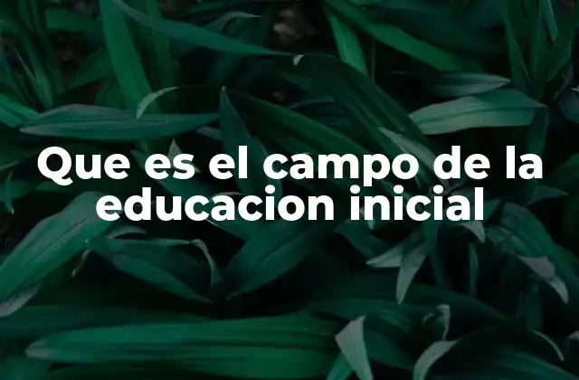 Que es el Campo de la Educacion Inicial 2 La importancia de la formación temprana en el desarrollo humano