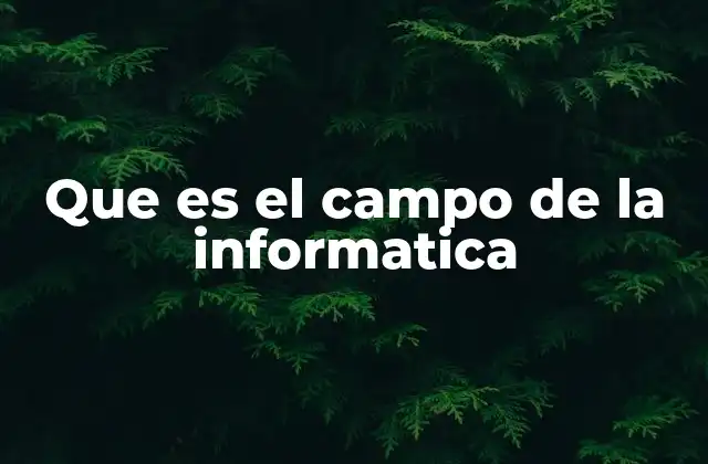 Que es el Campo de la Informatica