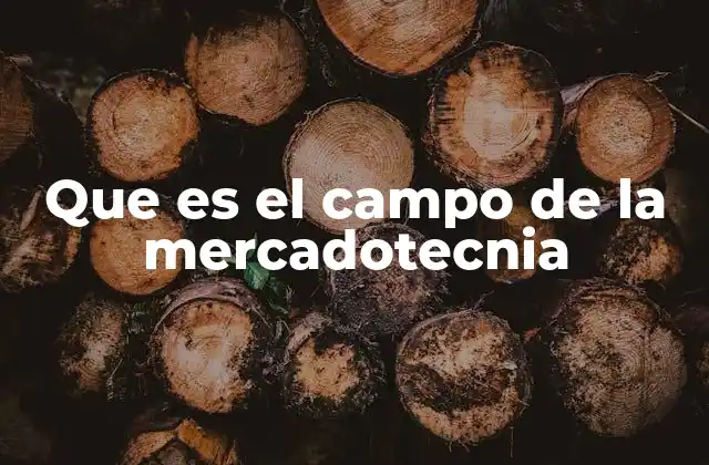 Que es el Campo de la Mercadotecnia
