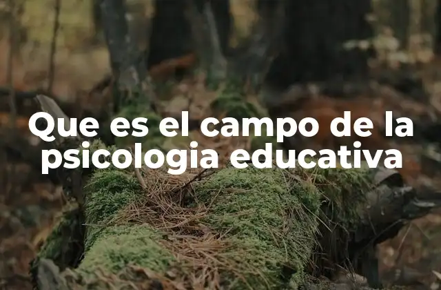 Que es el Campo de la Psicologia Educativa 2 El papel de la psicología en la formación escolar