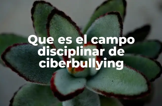 Que es el Campo Disciplinar de Ciberbullying 2 El estudio del acoso en entornos virtuales