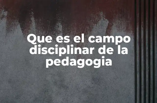Que es el Campo Disciplinar de la Pedagogia