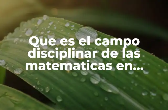 Que es el Campo Disciplinar de las Matematicas en Preescolar