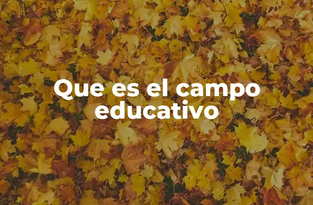 Que es el Campo Educativo