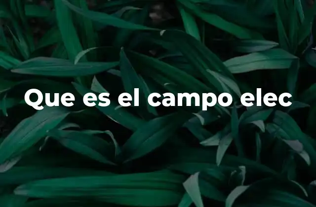 Que es el Campo Elec