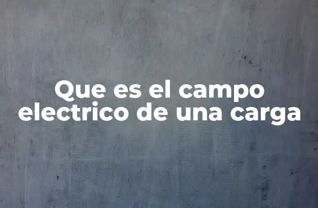 Que es el Campo Electrico de una Carga