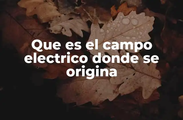 Que es el Campo Electrico Donde Se Origina 2 El campo eléctrico como una representación de la influencia de las cargas