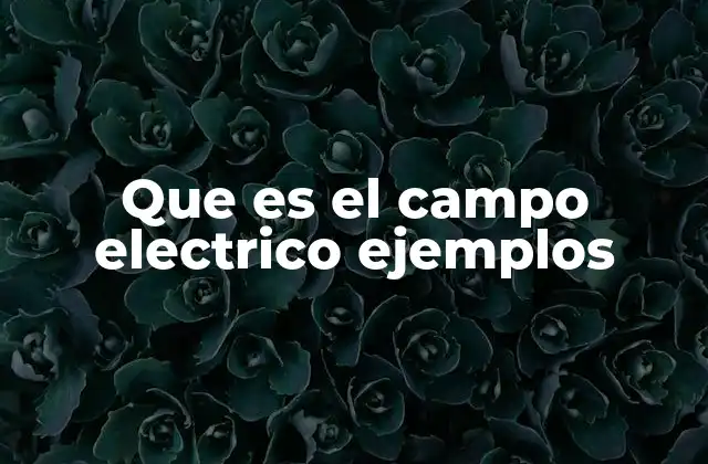 Que es el Campo Electrico Ejemplos 2 El campo eléctrico y su relación con la fuerza eléctrica