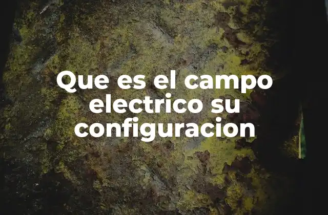 Que es el Campo Electrico Su Configuracion 2 ¿Cómo se representa el campo eléctrico y su configuración?