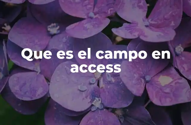 Que es el Campo en Access