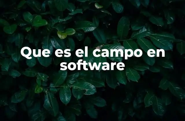 Que es el Campo en Software