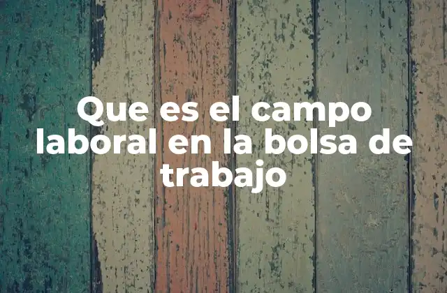 Que es el Campo Laboral en la Bolsa de Trabajo