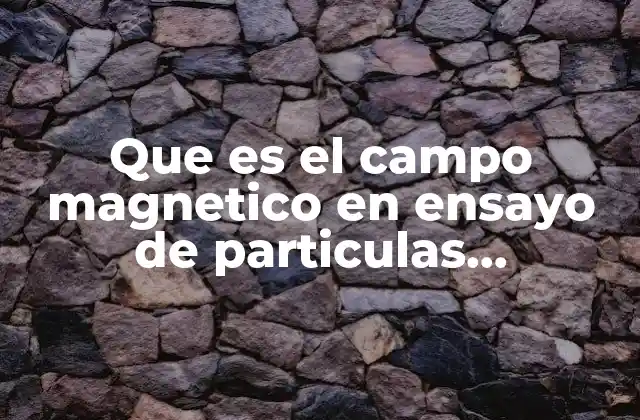 Que es el Campo Magnetico en Ensayo de Particulas Magneticas