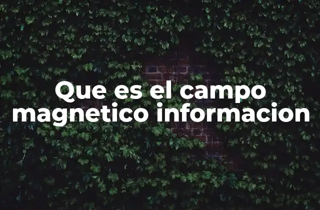 Que es el Campo Magnetico Informacion