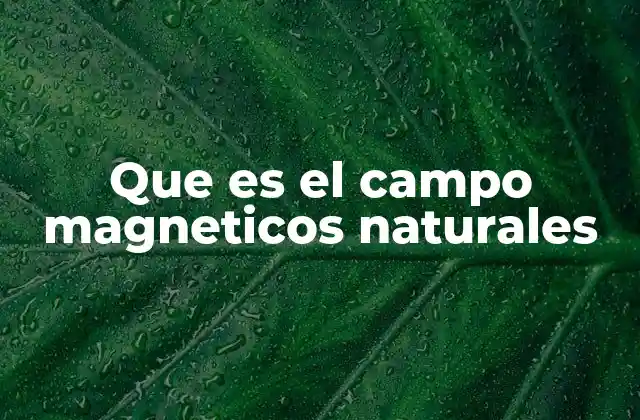 Que es el Campo Magneticos Naturales