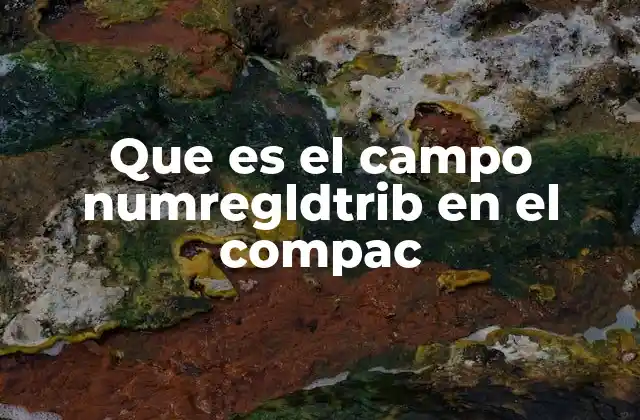 Que es el Campo Numregldtrib en el Compac
