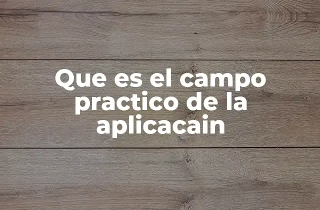 Que es el Campo Practico de la Aplicacain 2 La importancia de integrar teoría y práctica