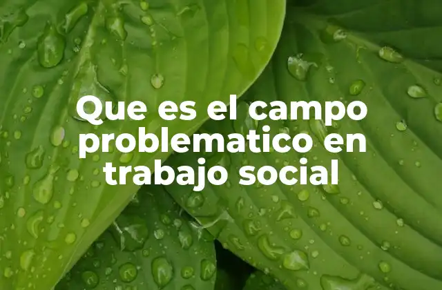 La importancia de comprender el contexto social en el trabajo social