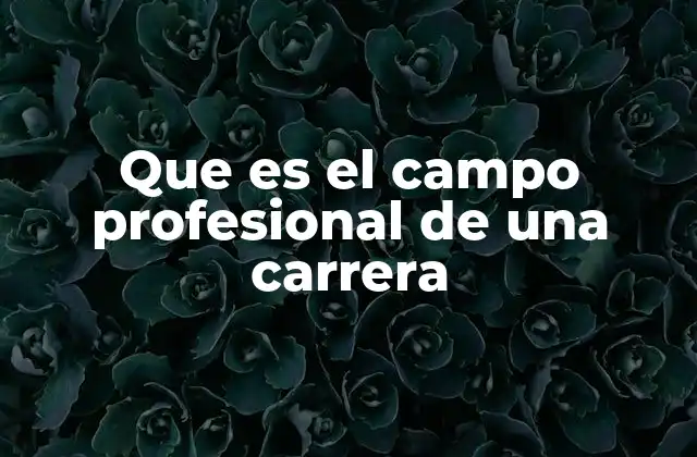 Que es el Campo Profesional de una Carrera