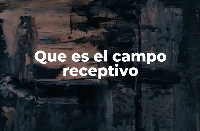 Que es el Campo Receptivo