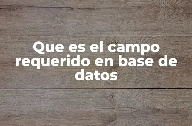 Que es el Campo Requerido en Base de Datos