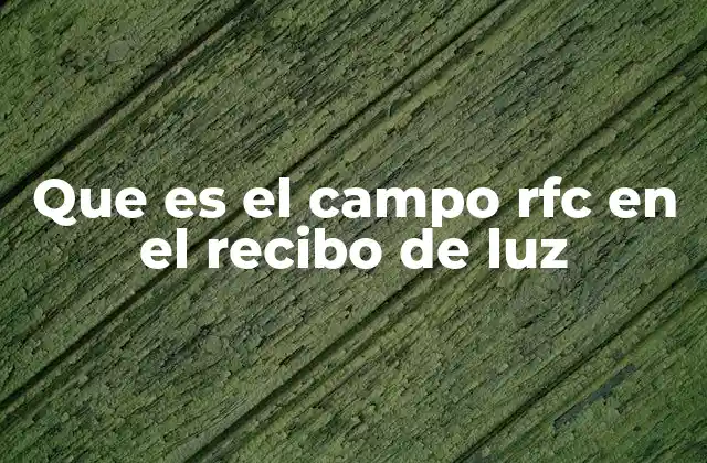 Que es el Campo Rfc en el Recibo de Luz