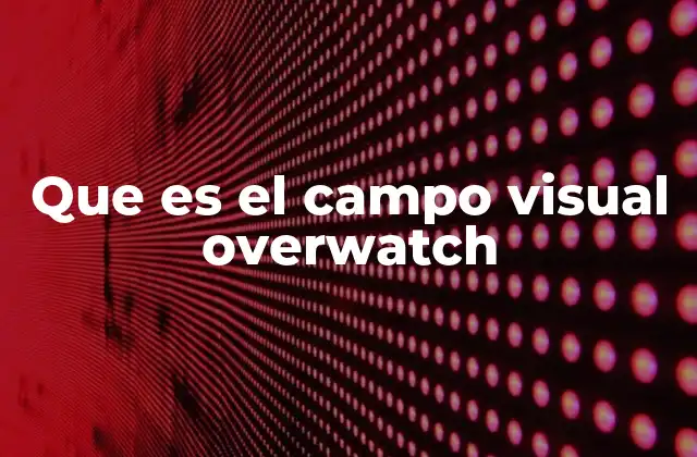 Que es el Campo Visual Overwatch 2 Cómo el campo visual afecta la jugabilidad en Overwatch