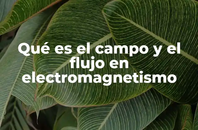Qué es el Campo y el Flujo en Electromagnetismo 2 La relación entre electricidad y magnetismo sin mencionar directamente los términos