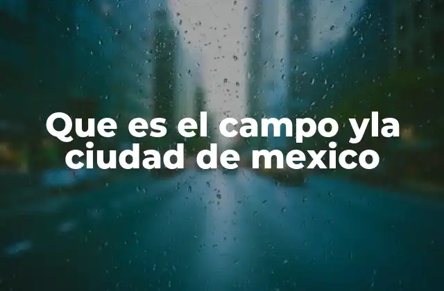 Que es el Campo Yla Ciudad de Mexico