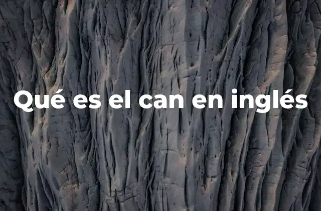 Qué es el Can en Inglés