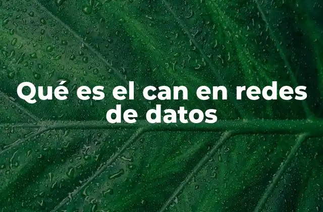 Qué es el Can en Redes de Datos
