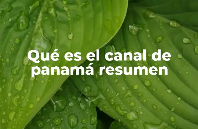 Qué es el Canal de Panamá Resumen